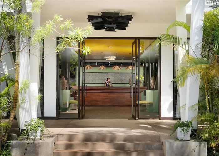 The Calm Oasis